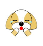 表情豊かなシーズー犬（個別スタンプ：14）