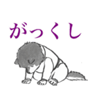 シバ家のケンさん（個別スタンプ：11）