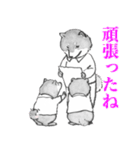 シバ家のケンさん（個別スタンプ：24）