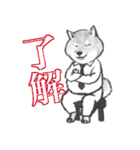 シバ家のケンさん（個別スタンプ：29）
