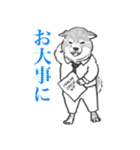シバ家のケンさん（個別スタンプ：30）