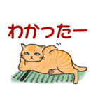 いろいろ毛柄の猫 3【日常会話】（個別スタンプ：8）