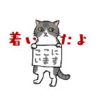 いろいろ毛柄の猫 3【日常会話】（個別スタンプ：13）