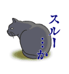 いろいろ毛柄の猫 3【日常会話】（個別スタンプ：27）