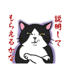 いろいろ毛柄の猫 3【日常会話】（個別スタンプ：35）