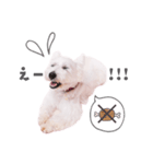 バニモカスタンプ（個別スタンプ：8）