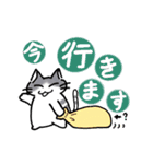 ねこさん達の日常（個別スタンプ：7）