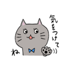 ねこのネネコ（個別スタンプ：4）