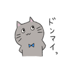 ねこのネネコ（個別スタンプ：21）