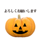 かぼちゃ ハロウィン と 敬語（個別スタンプ：3）