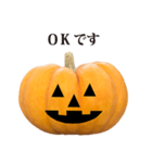 かぼちゃ ハロウィン と 敬語（個別スタンプ：14）