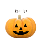 かぼちゃ ハロウィン と 敬語（個別スタンプ：18）