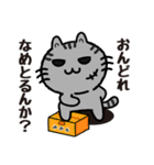 ねこやねん 〜お笑い芸人編〜（個別スタンプ：11）