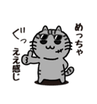 ねこやねん 〜お笑い芸人編〜（個別スタンプ：13）