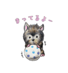 こいぬのこむぎ（個別スタンプ：4）