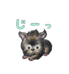 こいぬのこむぎ（個別スタンプ：13）