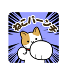 猫のまるくん（個別スタンプ：11）