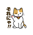 猫のまるくん（個別スタンプ：20）