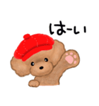 プードルのキャスケット（個別スタンプ：1）