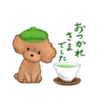 プードルのキャスケット（個別スタンプ：5）