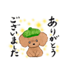 プードルのキャスケット（個別スタンプ：11）