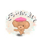 プードルのキャスケット（個別スタンプ：13）