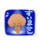 プードルのキャスケット（個別スタンプ：22）