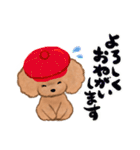 プードルのキャスケット（個別スタンプ：24）