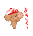 プードルのキャスケット（個別スタンプ：25）