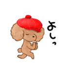 プードルのキャスケット（個別スタンプ：27）