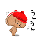 プードルのキャスケット（個別スタンプ：35）
