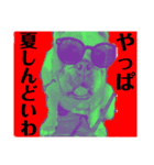 ブルドッグ の 玉丸です。（個別スタンプ：3）
