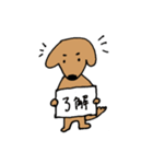 ダックスフンドの日常使い向けスタンプ（個別スタンプ：1）
