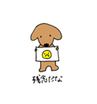 ダックスフンドの日常使い向けスタンプ（個別スタンプ：12）