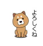 マスコット犬 しばさん（個別スタンプ：8）