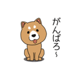 マスコット犬 しばさん（個別スタンプ：17）