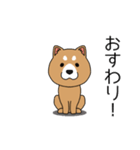 マスコット犬 しばさん（個別スタンプ：19）