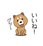 マスコット犬 しばさん（個別スタンプ：30）