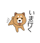 マスコット犬 しばさん（個別スタンプ：34）