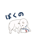 白柴犬のあそび（個別スタンプ：20）