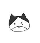 ワンワン ハスキー（個別スタンプ：19）