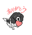 幸福を呼ぶワンコ（個別スタンプ：1）