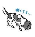 幸福を呼ぶワンコ（個別スタンプ：29）