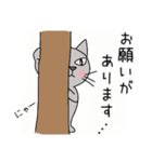 ちょっぴり目付きがワルい猫《丁寧語》（個別スタンプ：12）