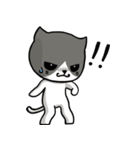 とても無口な猫。（個別スタンプ：1）