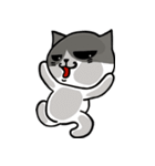 とても無口な猫。（個別スタンプ：5）
