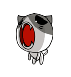 とても無口な猫。（個別スタンプ：13）