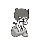 とても無口な猫。（個別スタンプ：14）