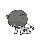 とても無口な猫。（個別スタンプ：15）