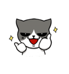 とても無口な猫。（個別スタンプ：19）
